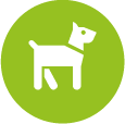 OSEA Glamping Dogs Allowed