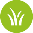 OSEA Meadows Grass Pitches
