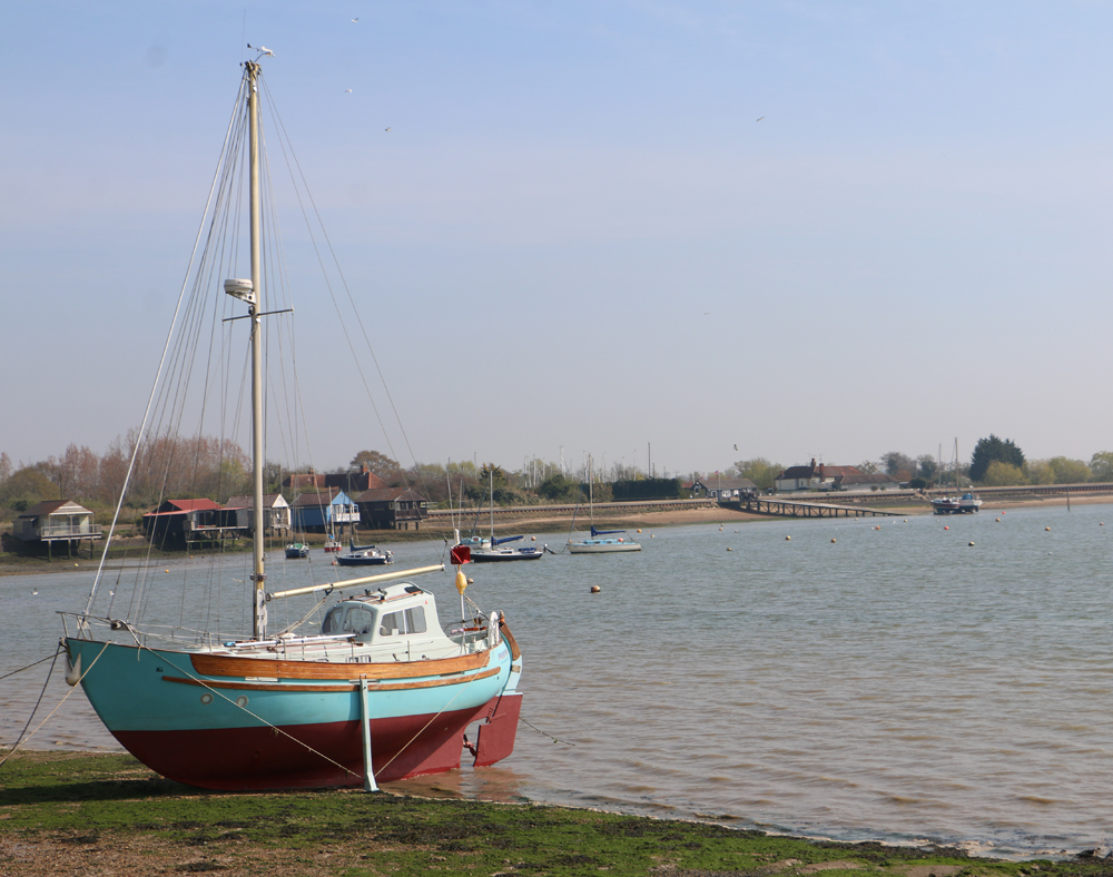 OSEA Blog – The Coast is the Place to Be