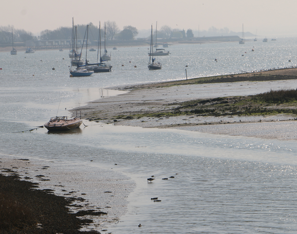 Make a Splash at Osea Meadows