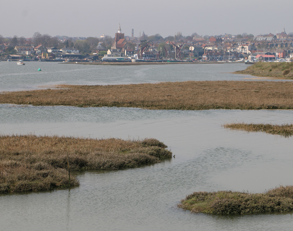 OSEA Blog – Discover the Magic of The Essex Serpent at Osea Meadows this Summer