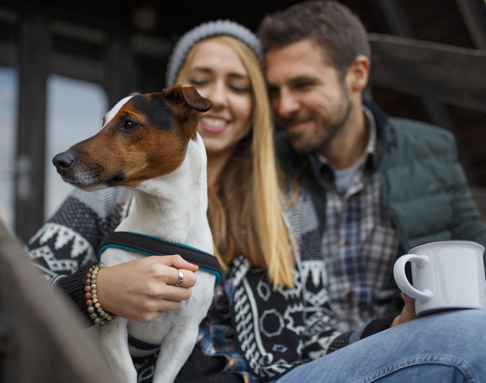 Dog Friendly Glamping at Osea Meadows